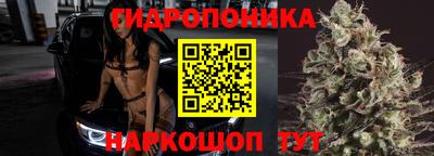 гашик Малгобек