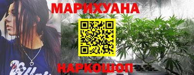гашик Малгобек