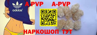 гашик Малгобек