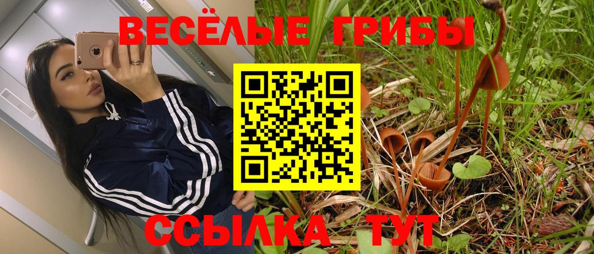 Иваново  Галлюциногенные грибы ЛСД  Вход с VPN 