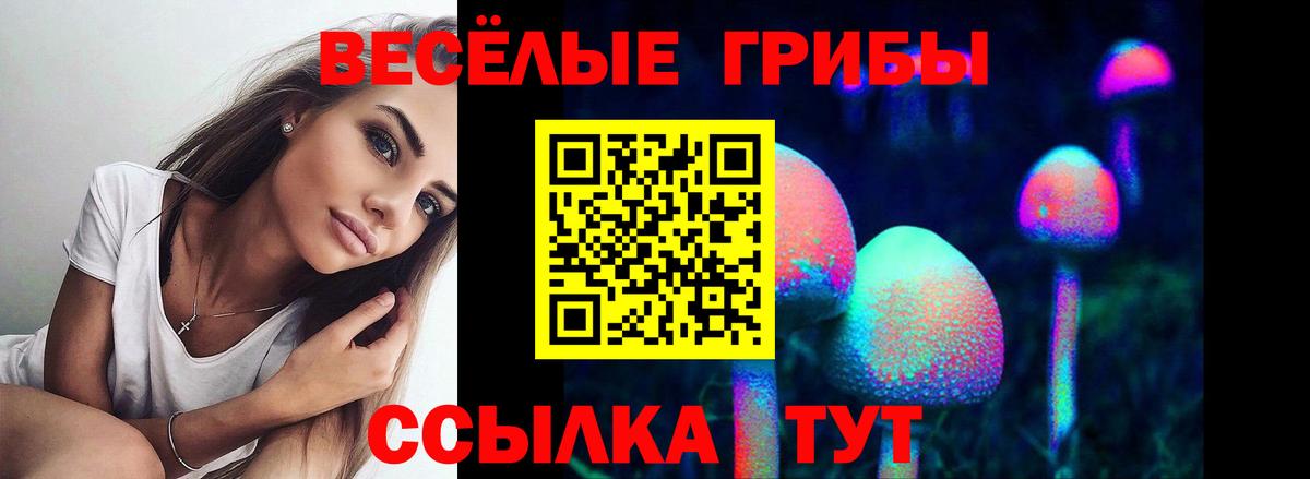 Псилоцибиновые грибы мицелий Иваново